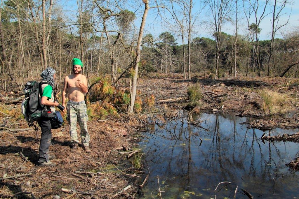 Emys e Natrix nel Parco Regionale MSRM